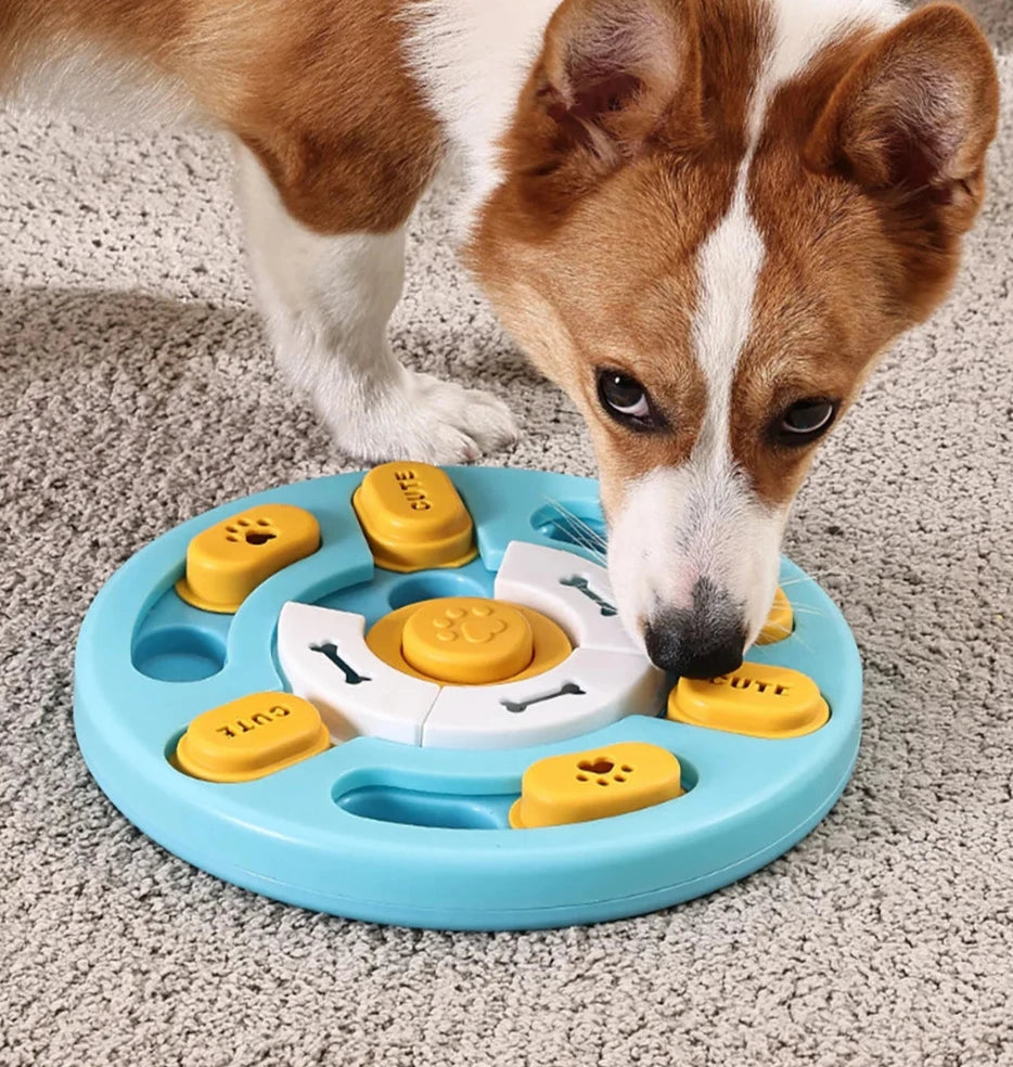 Stabiler Puzzle-Slow Feeder – Interaktiver Futterspender für schlaue Hunde