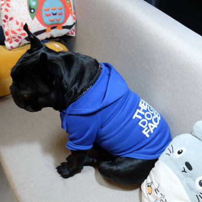 Warm Hoodie for Dogs – Ideal for small and large dogs