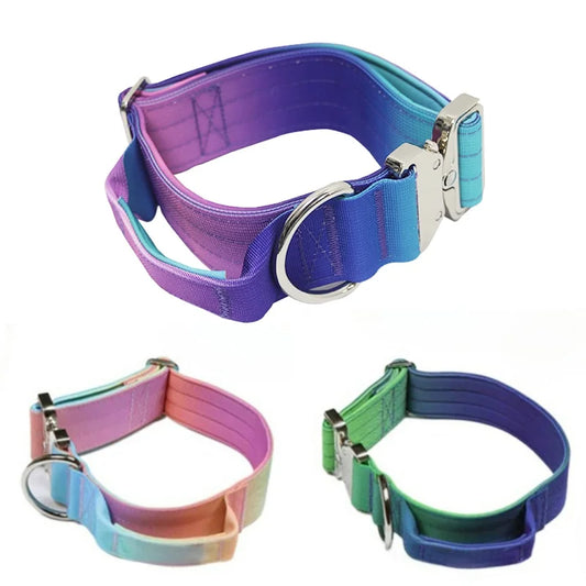 Nylon-Hundehalsband Gradient – Verbreitert & Verstellbar