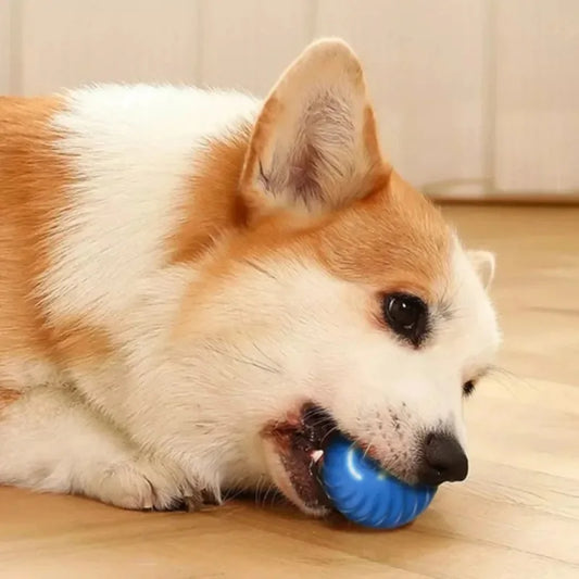 Interaktiver Hundespielzeug-Ball - Automatisch Springend & Rollend