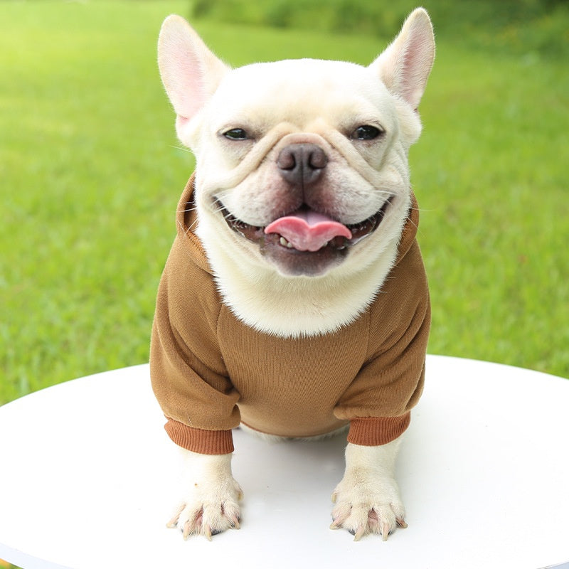 Warm Dog Sweater with Hood – For Small &amp; Medium Dogs